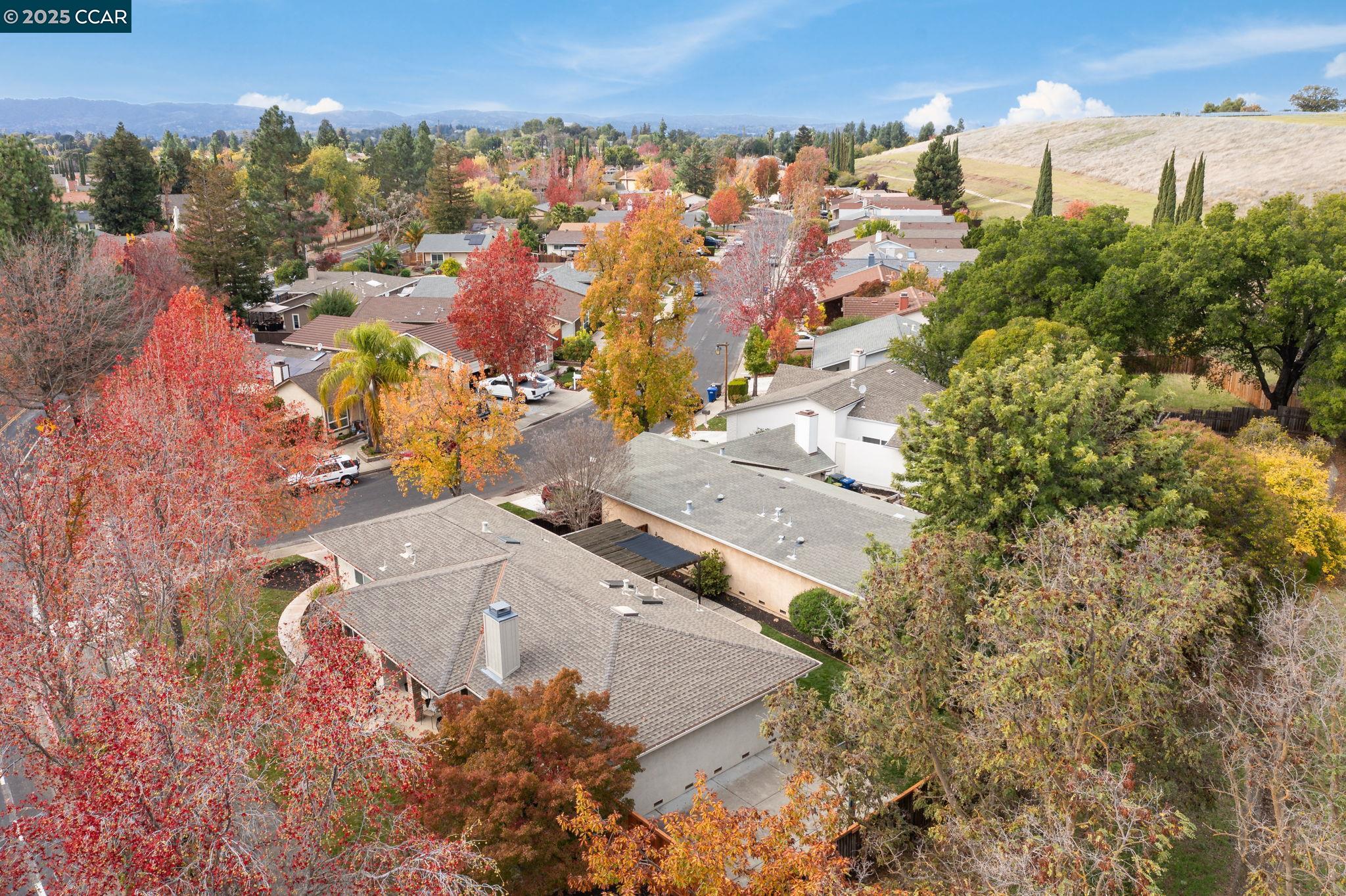 4597 Wildcat Lane Concord, CA 94521 - Photo 51 of 57 an aerial view of residential houses with outdoor space