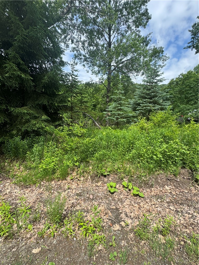 1189 Grange Hall Road Oneonta, NY 13820 - Photo 8 of 9