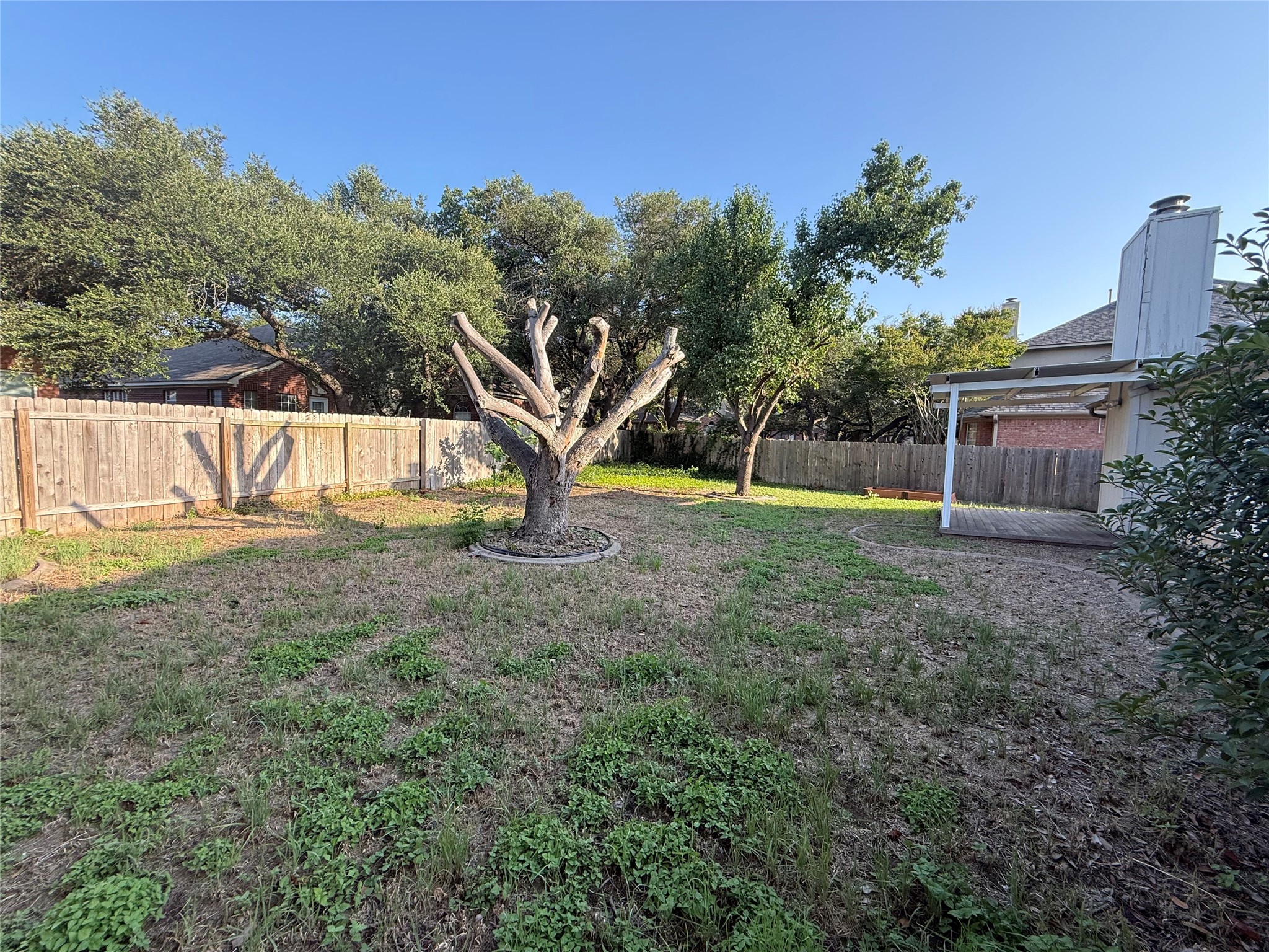 1316 Mesquite Road Cedar Park, TX 78613 - Photo 23 of 24 A spacious backyard retreat, perfect for relaxation and outdoor activities, awaits your personal touch.