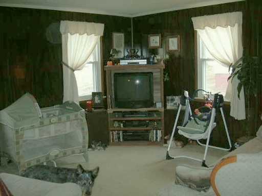 704 Big Knob Road Rochester, PA 15074 - Photo 5 of 8 Other.