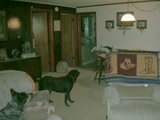 704 Big Knob Road Rochester, PA 15074 - Photo 6 of 8 Other.