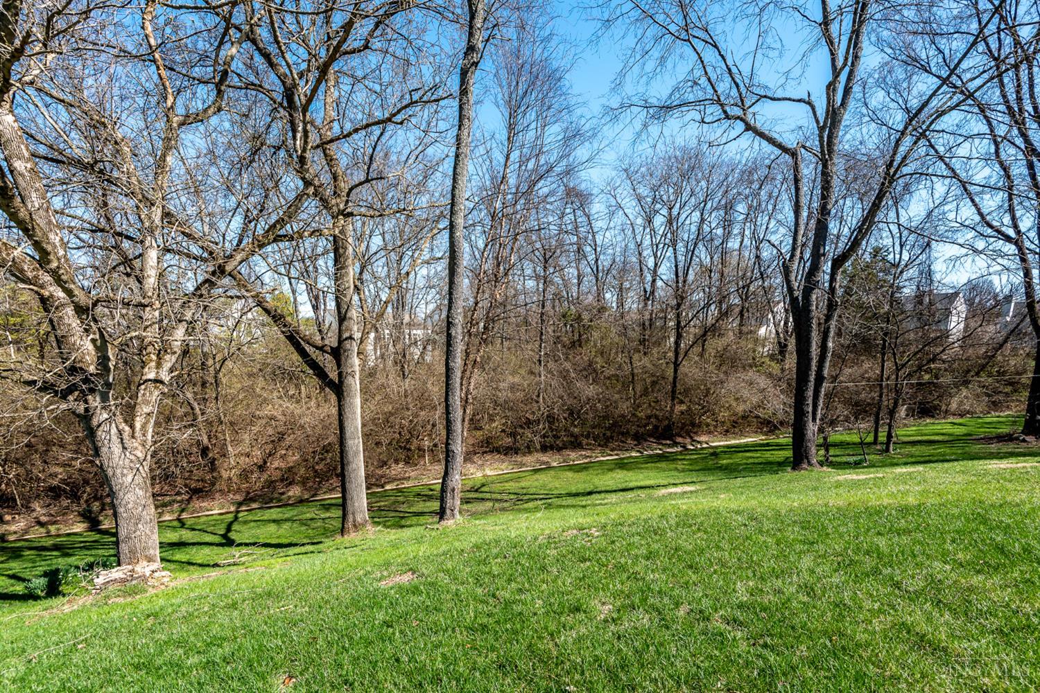 480 Apple Blossom Court Lebanon, OH 45036 - Photo 52 of 63