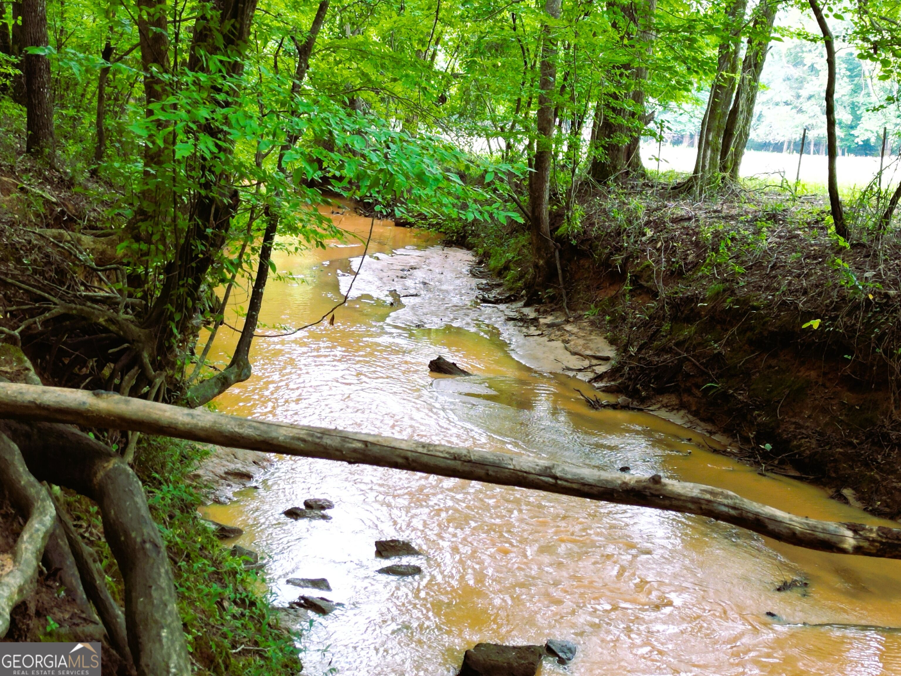3065 Smokey Road Athens, GA 30601 - Photo 4 of 68 Gallery Image 4