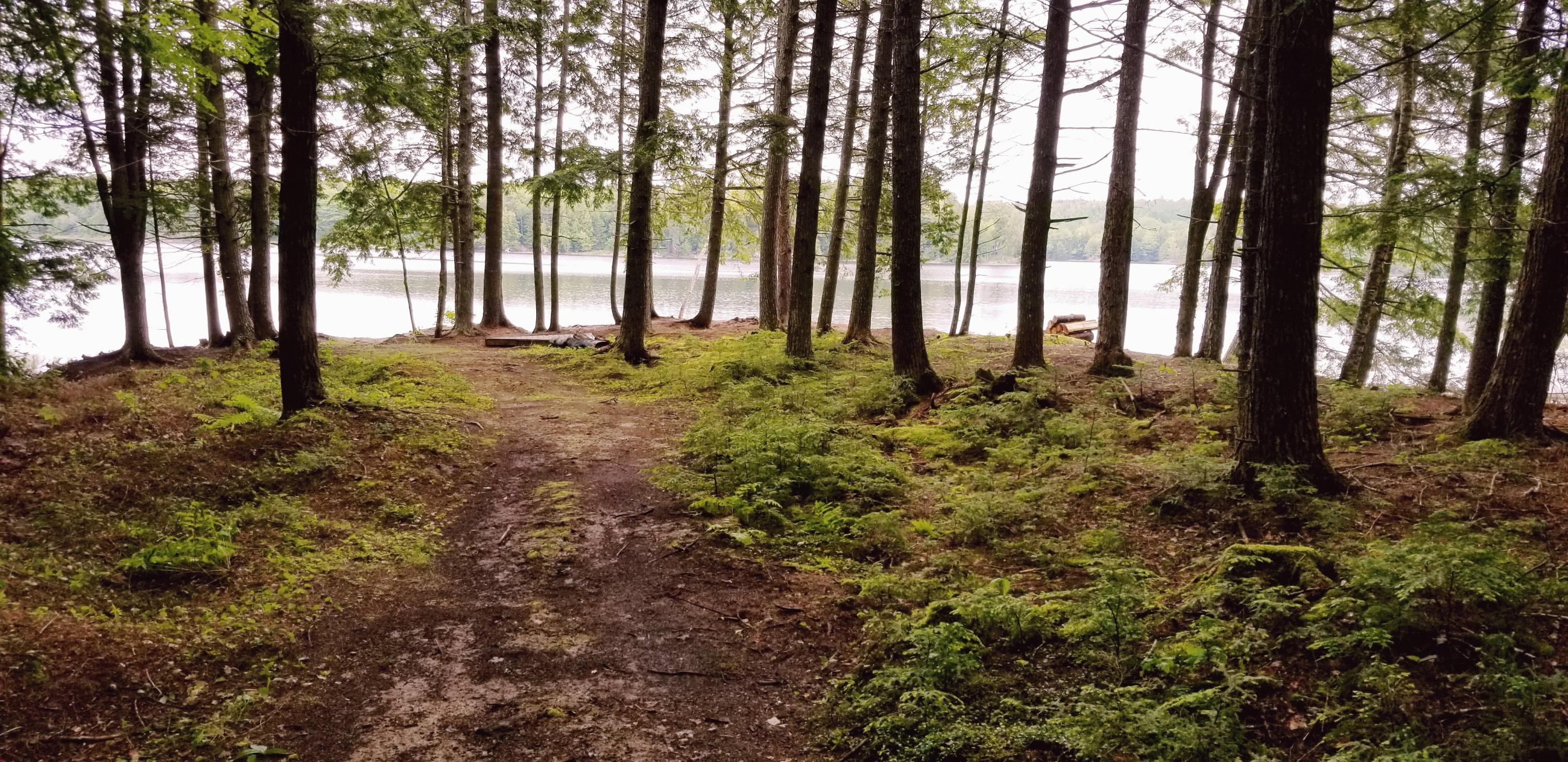 0 Mines Road Blue Hill, ME 04614 - Photo 9 of 9 20190629_152920