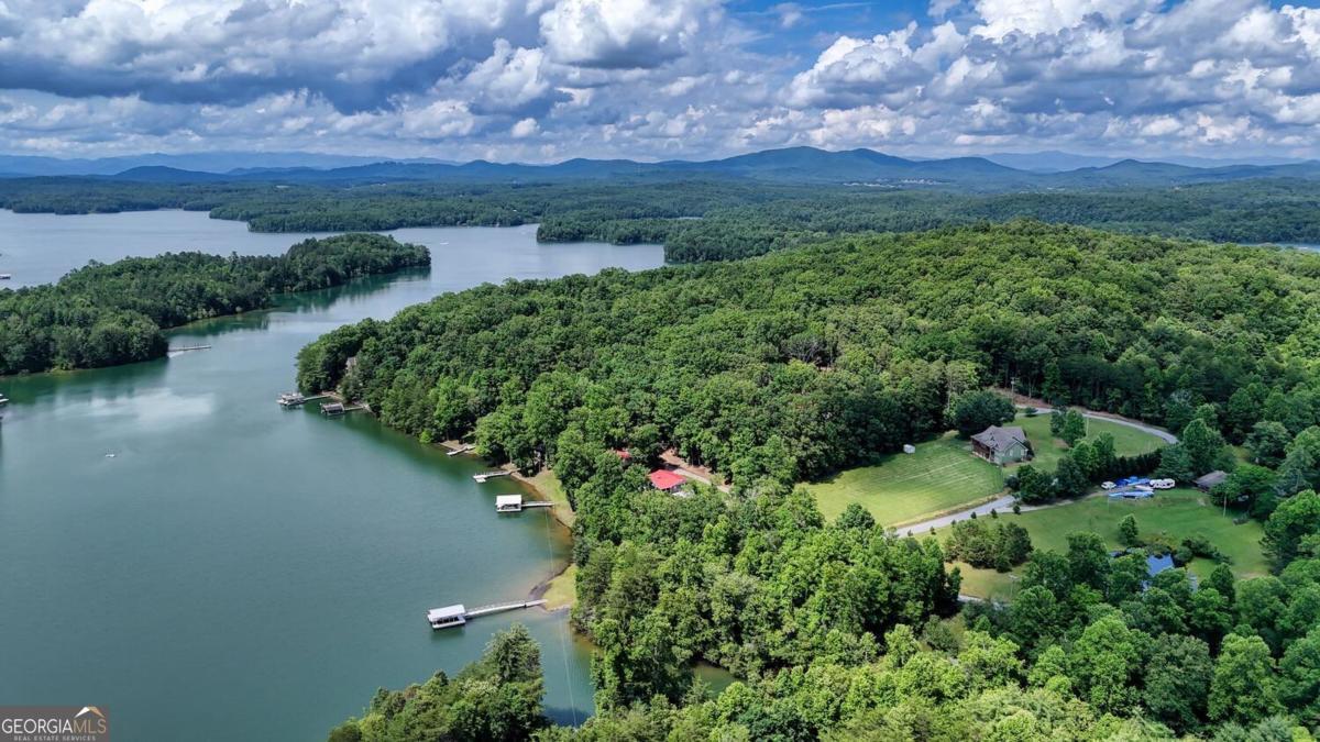 583 Fleenor Road, Unit TR 1 2 3 Blairsville, GA 30512 - Photo 91 of 99 an aerial view of a house with a yard