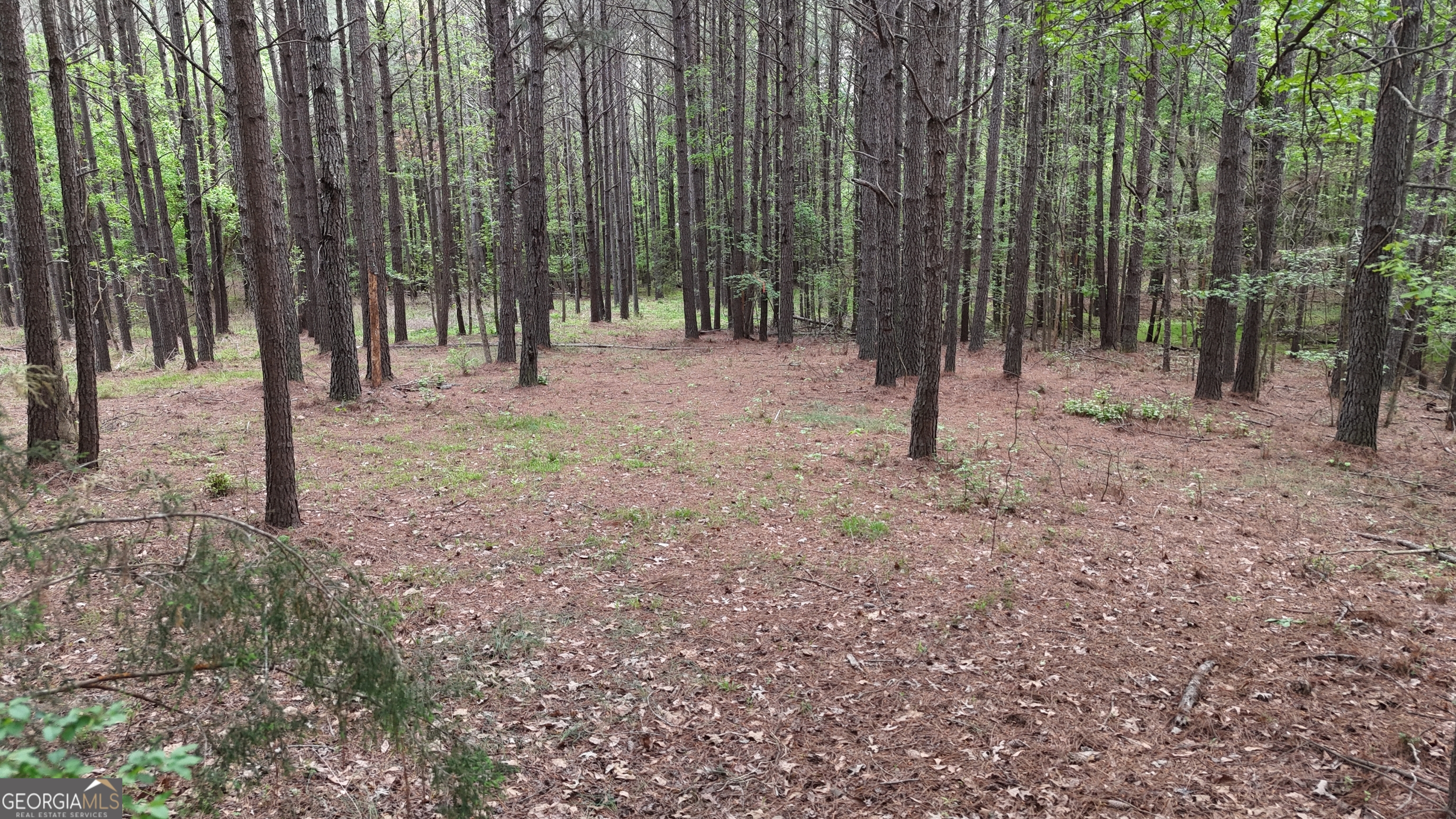 0 Plantation Road Madison, GA 30650 - Photo 3 of 9