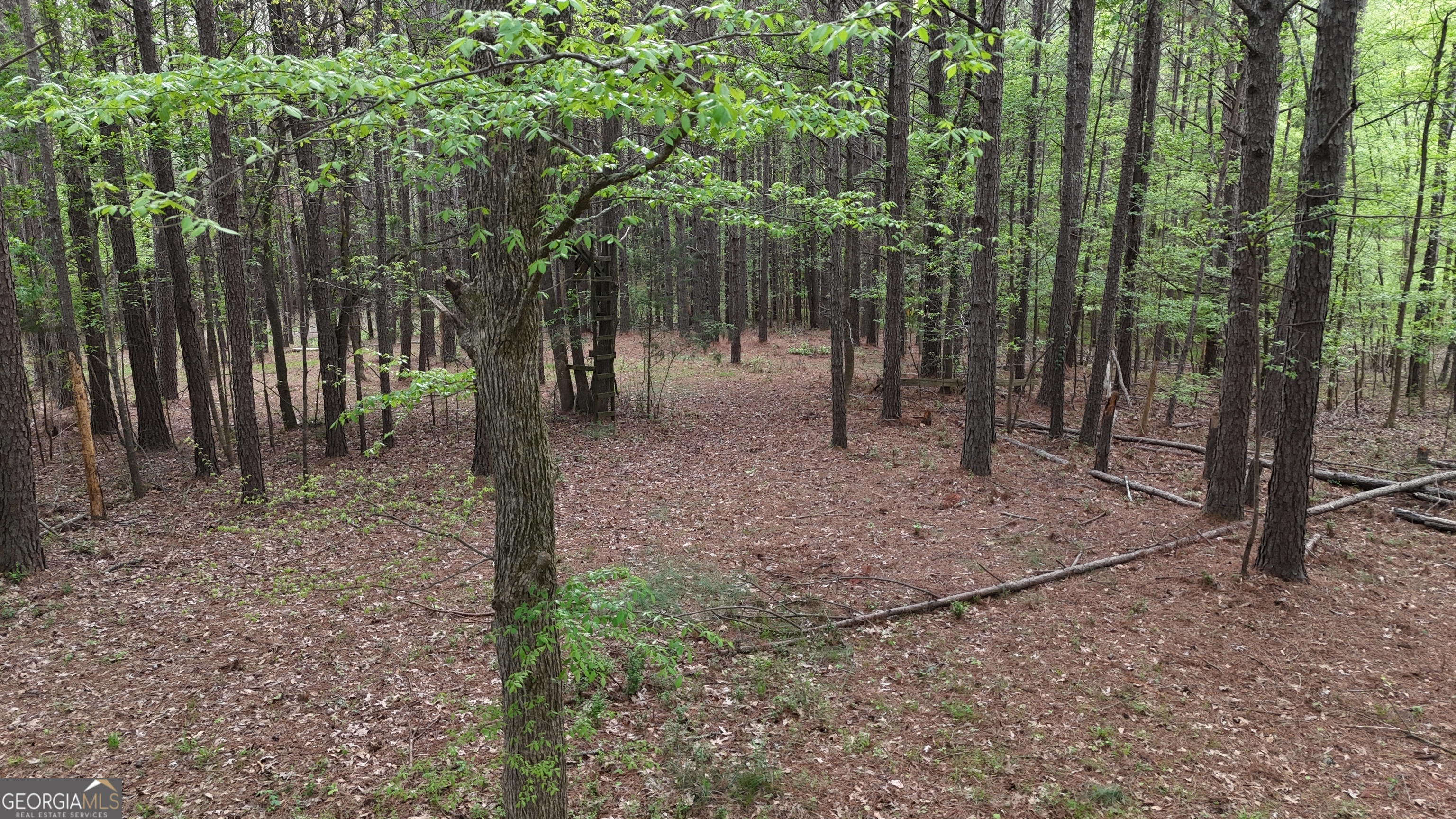 0 Plantation Road Madison, GA 30650 - Photo 4 of 9