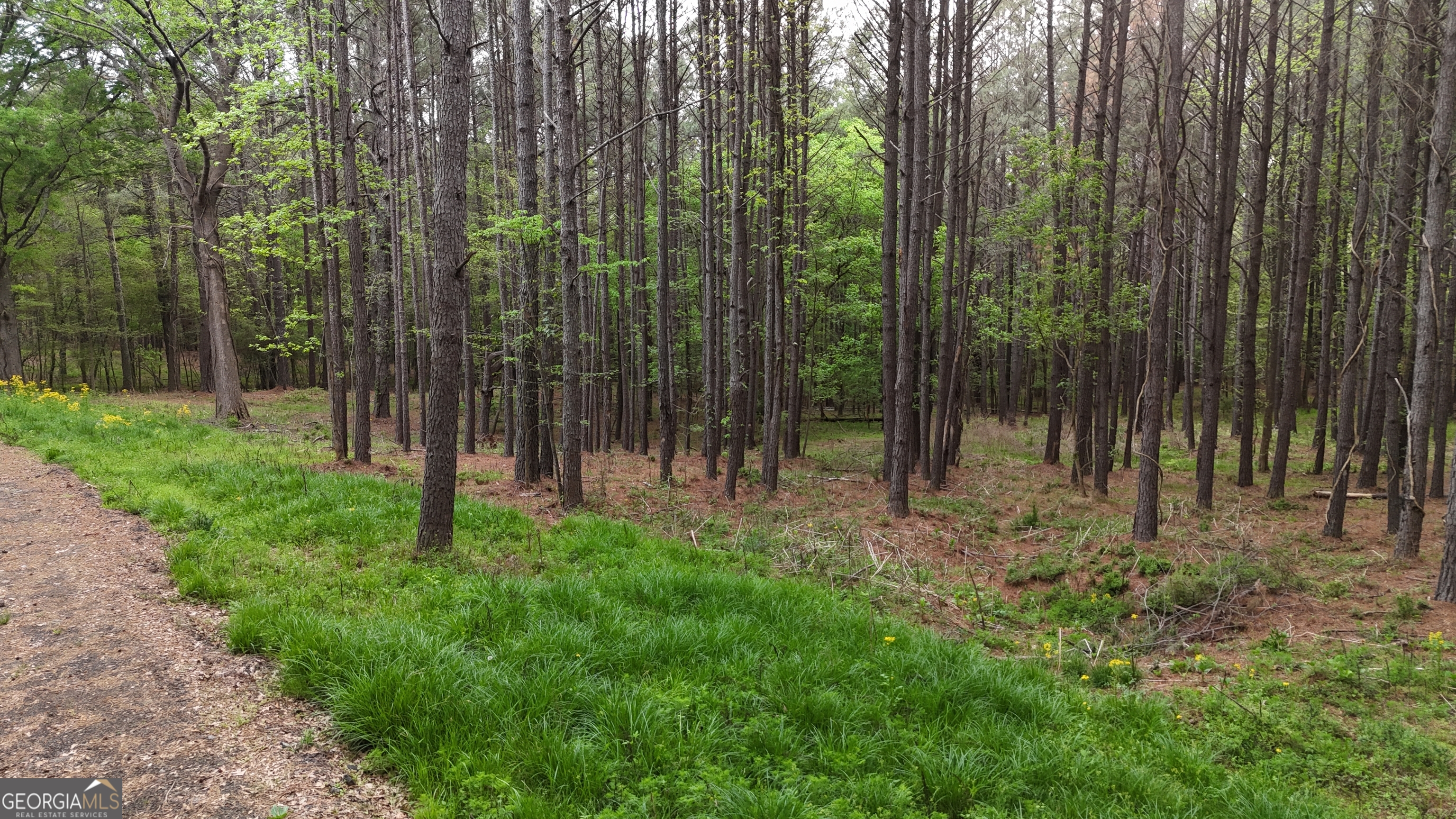 0 Plantation Road Madison, GA 30650 - Photo 5 of 9