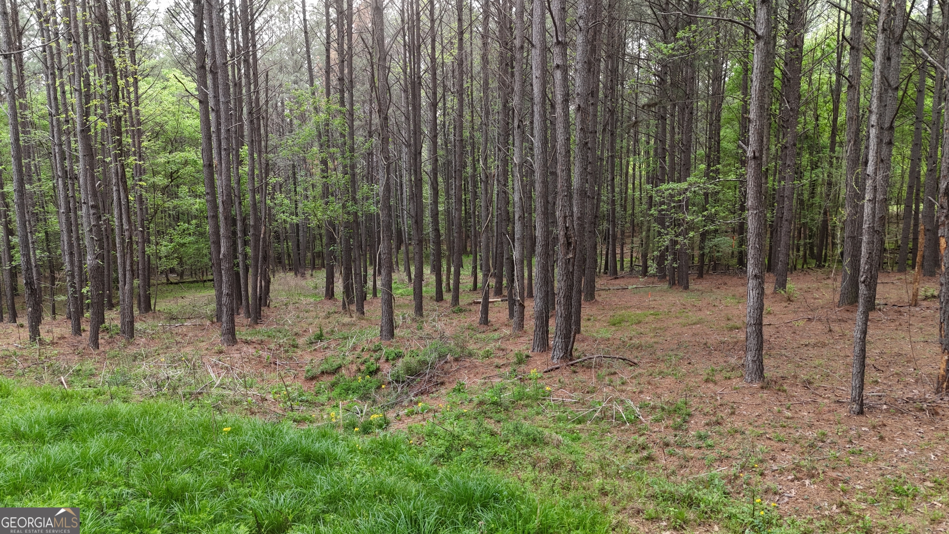 0 Plantation Road Madison, GA 30650 - Photo 6 of 9