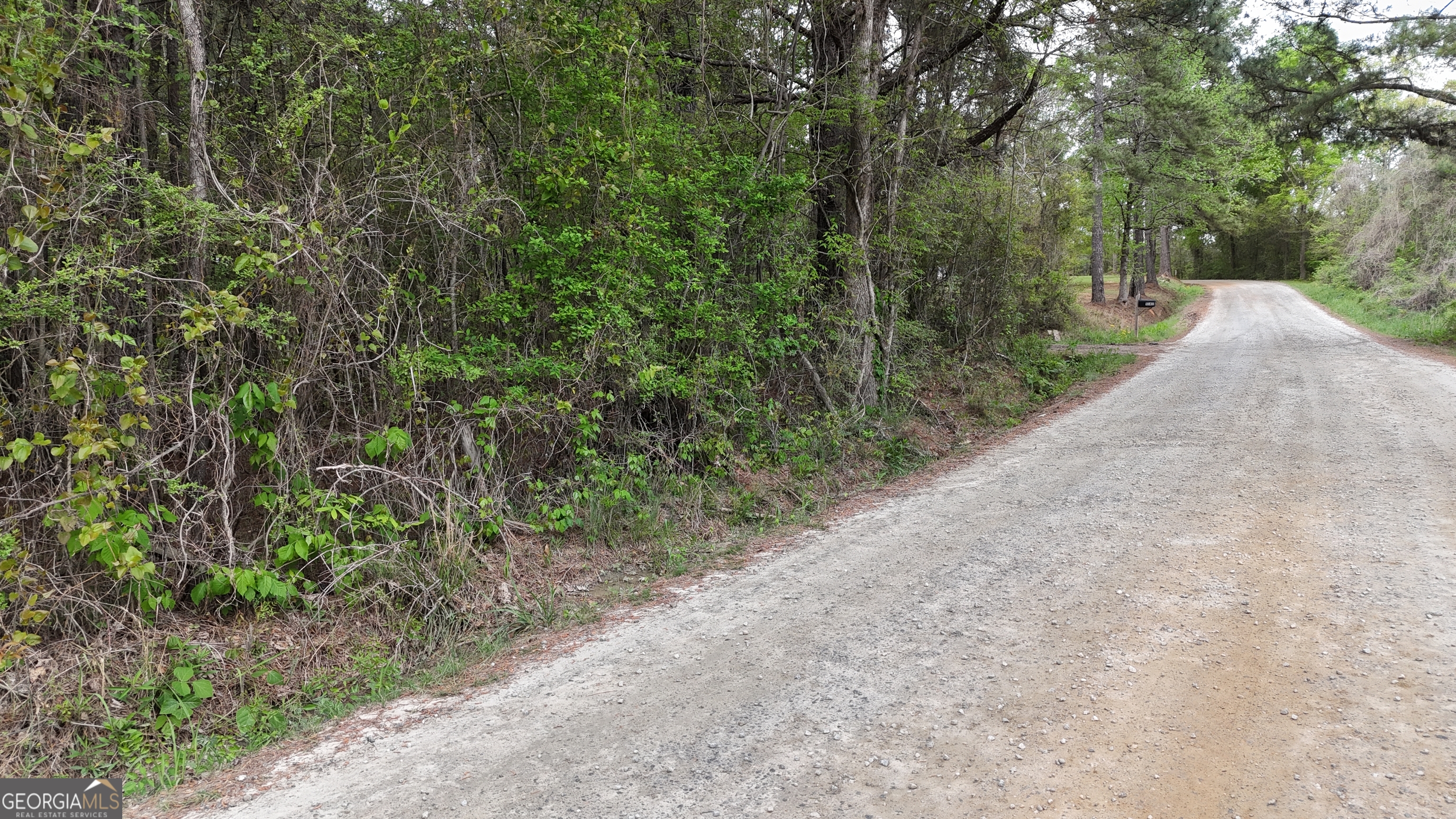 0 Plantation Road Madison, GA 30650 - Photo 7 of 9