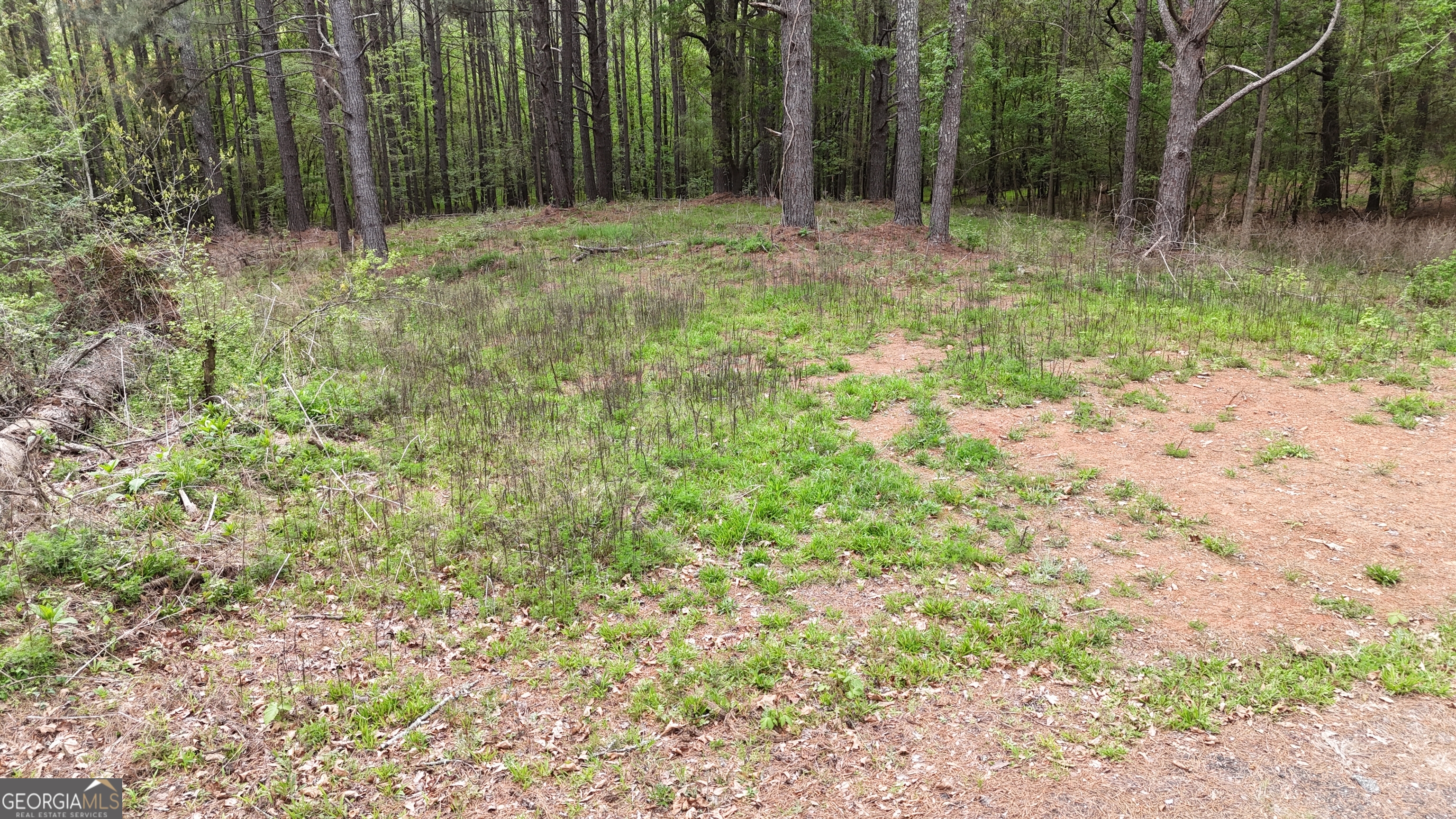 0 Plantation Road Madison, GA 30650 - Photo 8 of 9