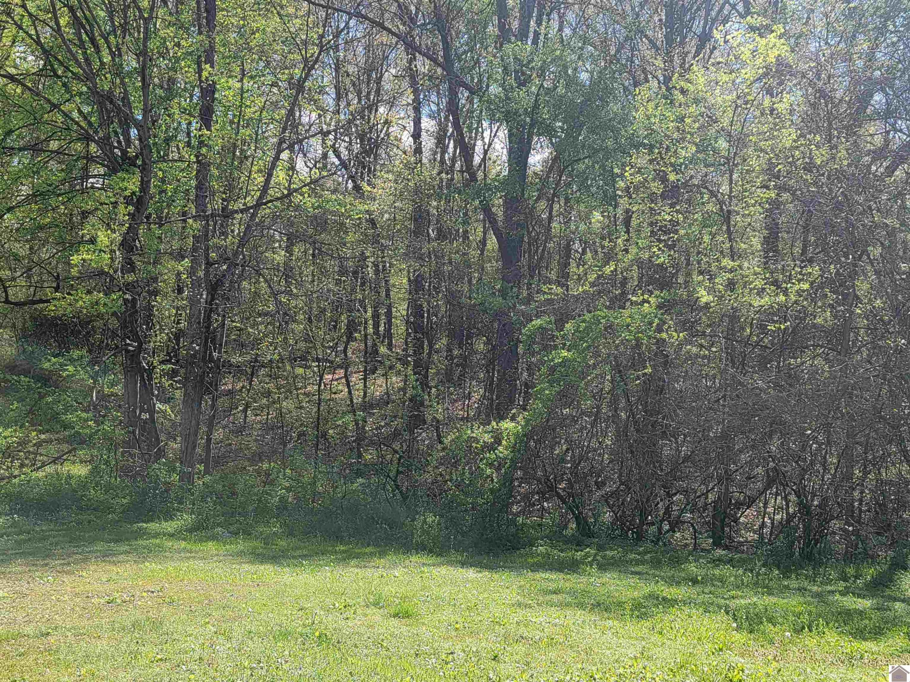 2624 Geibe Road Paducah, KY 42003 - Photo 6 of 7 Photo 6