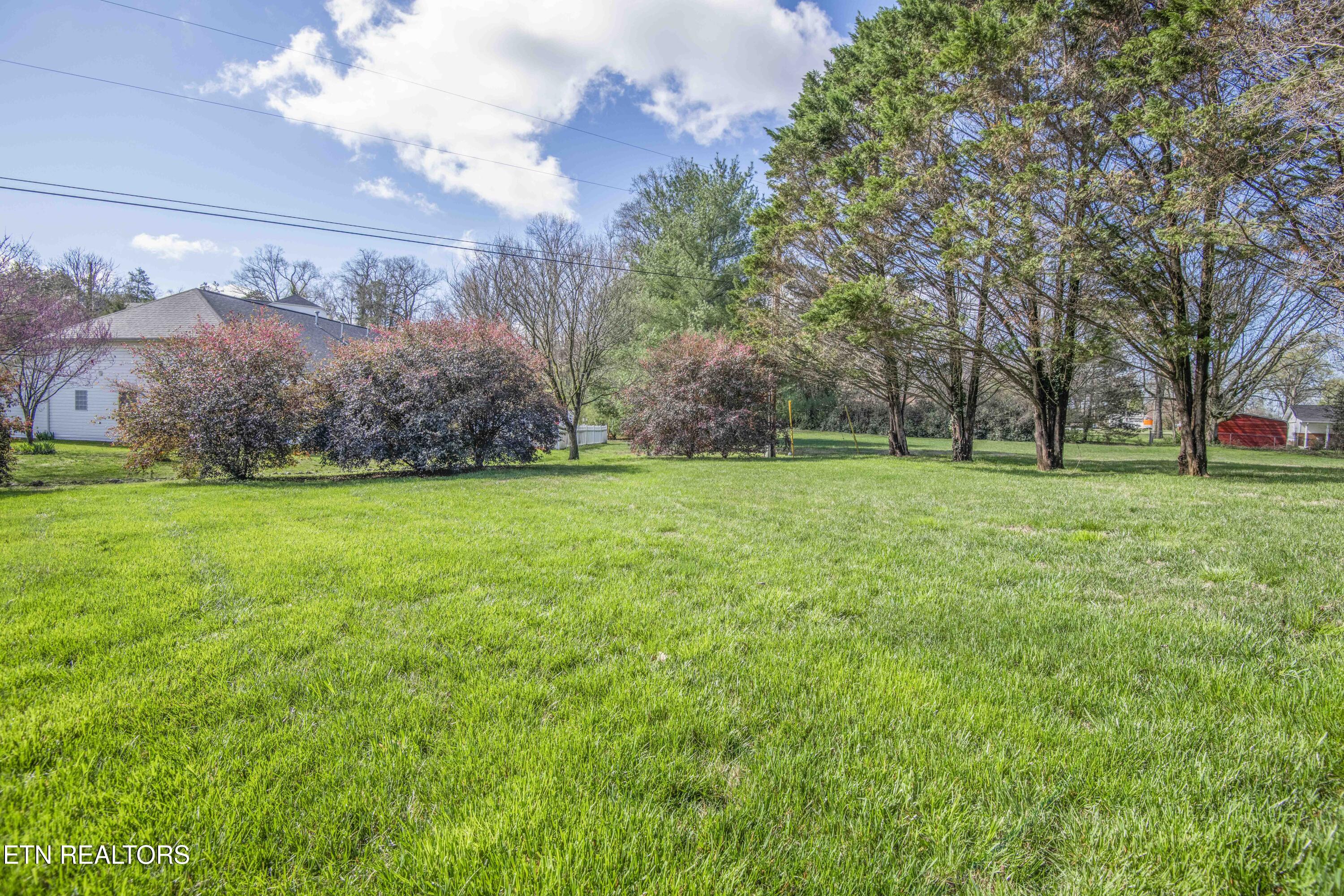 118 Channel Way Clinton, TN 37716 - Photo 46 of 46 yard_1