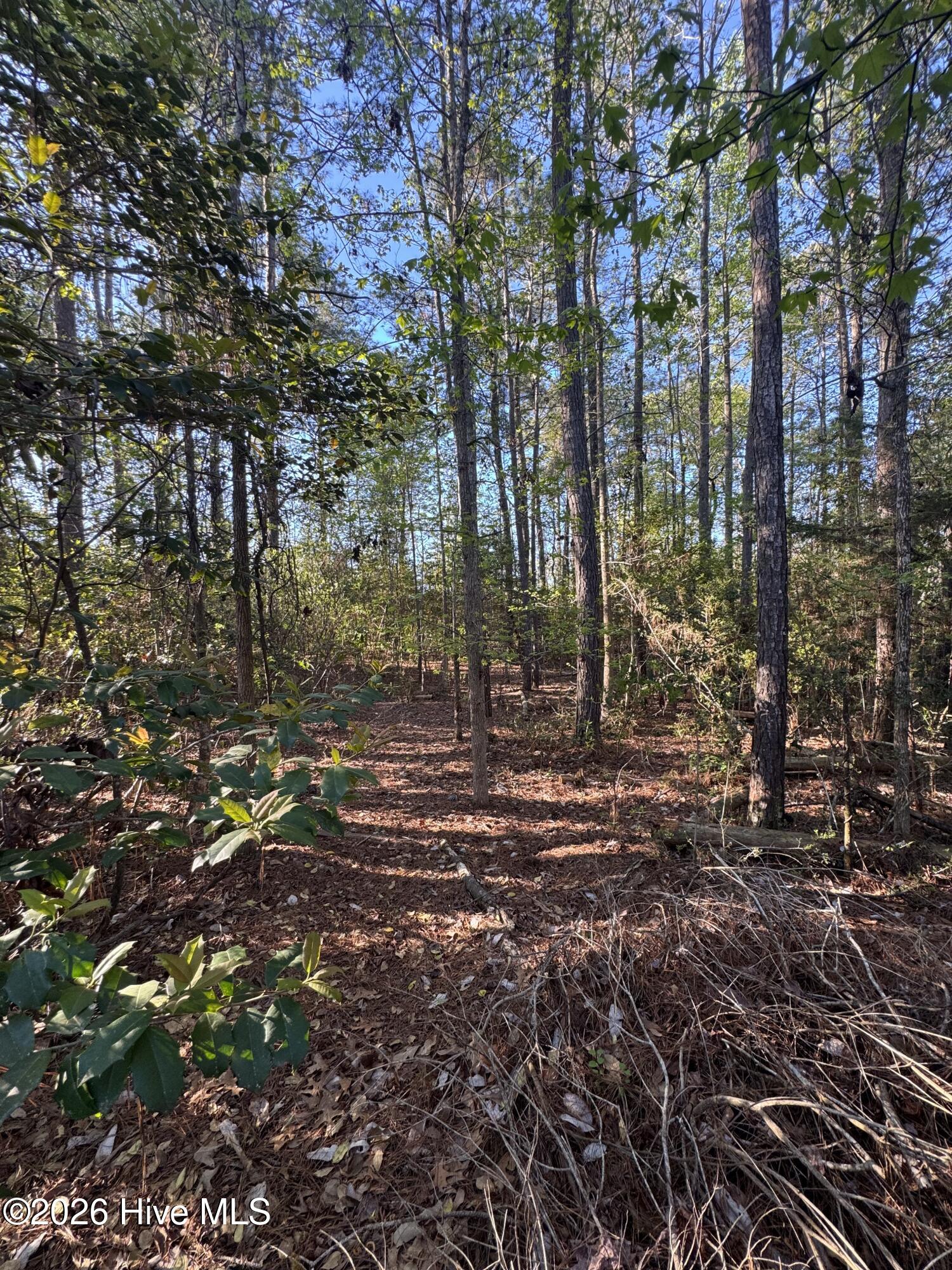 43 Pond View Lane Hampstead, NC 28443 - Photo 5 of 7 IMG_7891