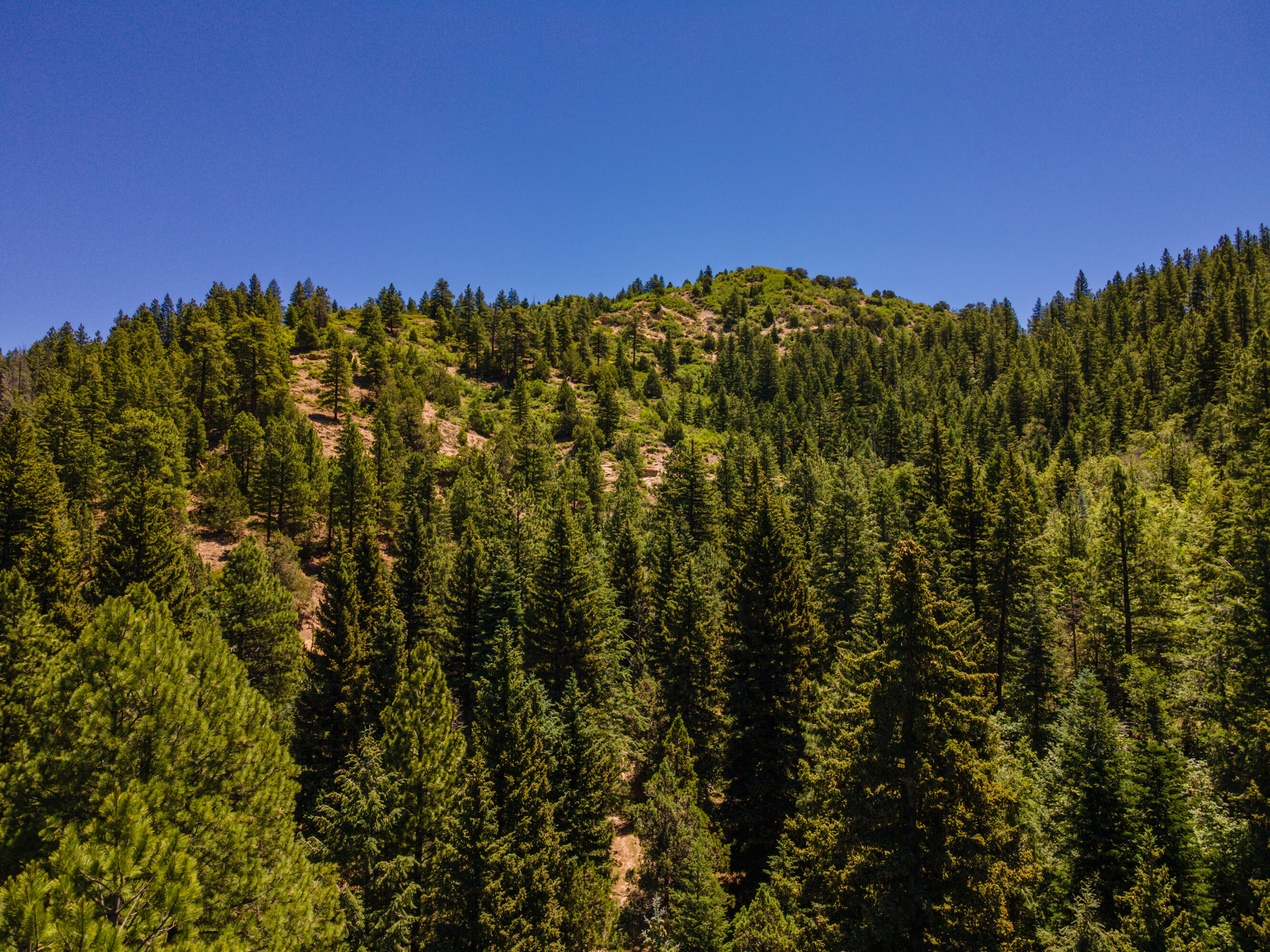 62 North Fork County Road Duck Creek Village, UT 84762 - Photo 51 of 54 Stanger Cabin Drones-5