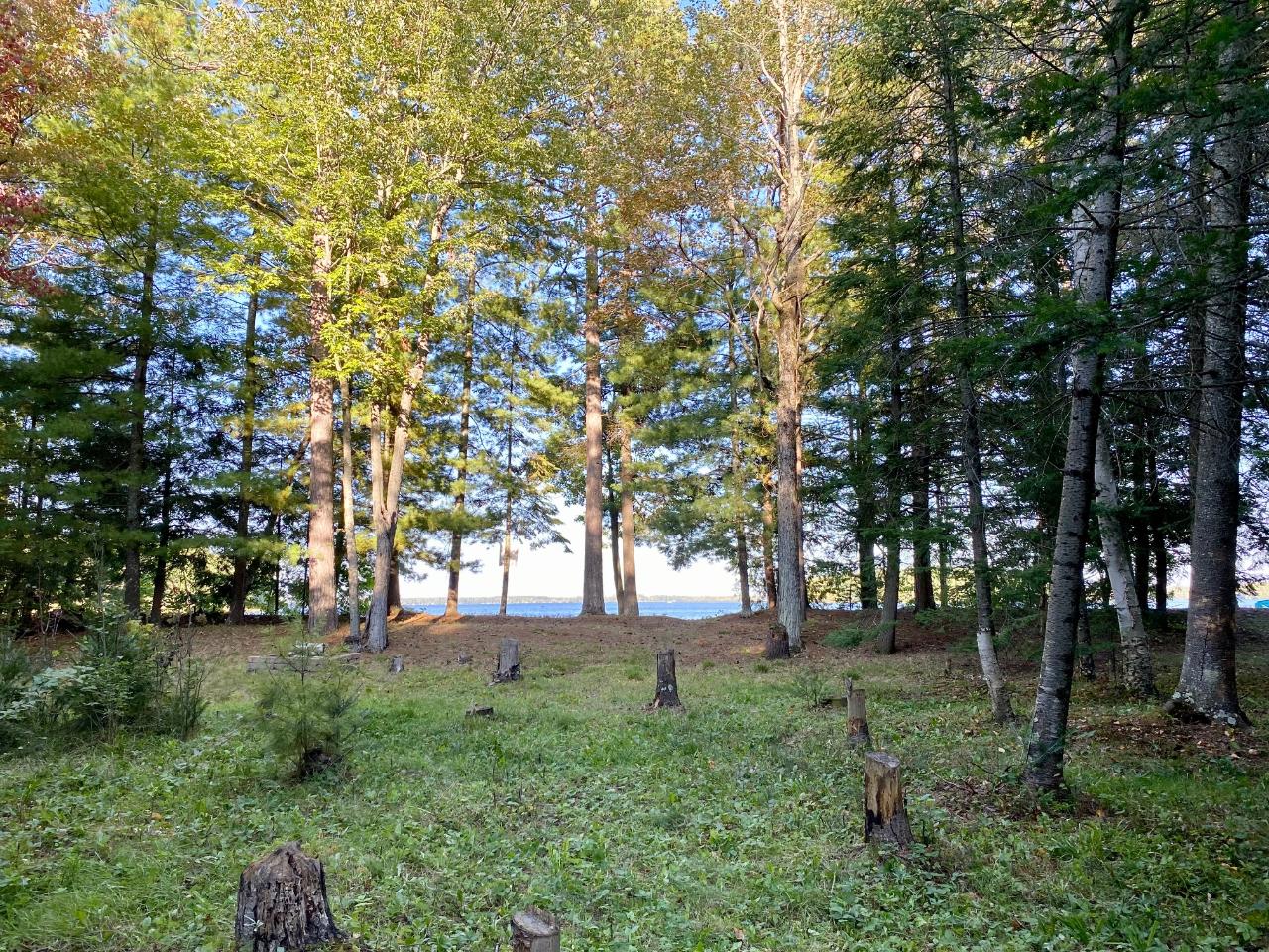 On On Shore Road Pelican Lake, WI 54463 - Photo 5 of 24 Gallery Image 5
