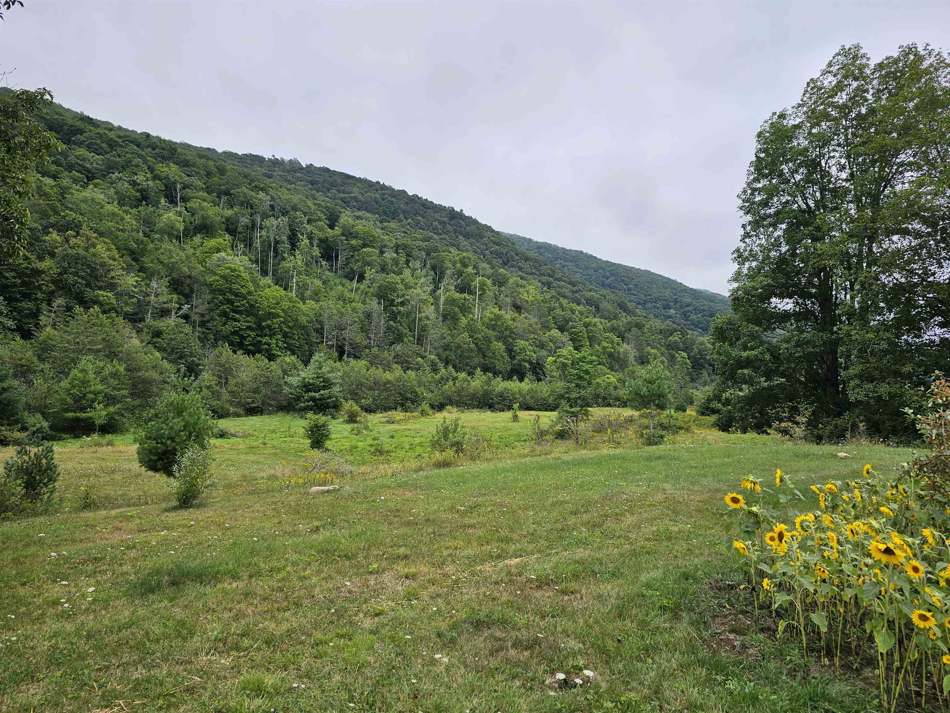 3328 Upper Back Creek Road Monterey, VA 24465 - Photo 2 of 33 Gallery Image 2