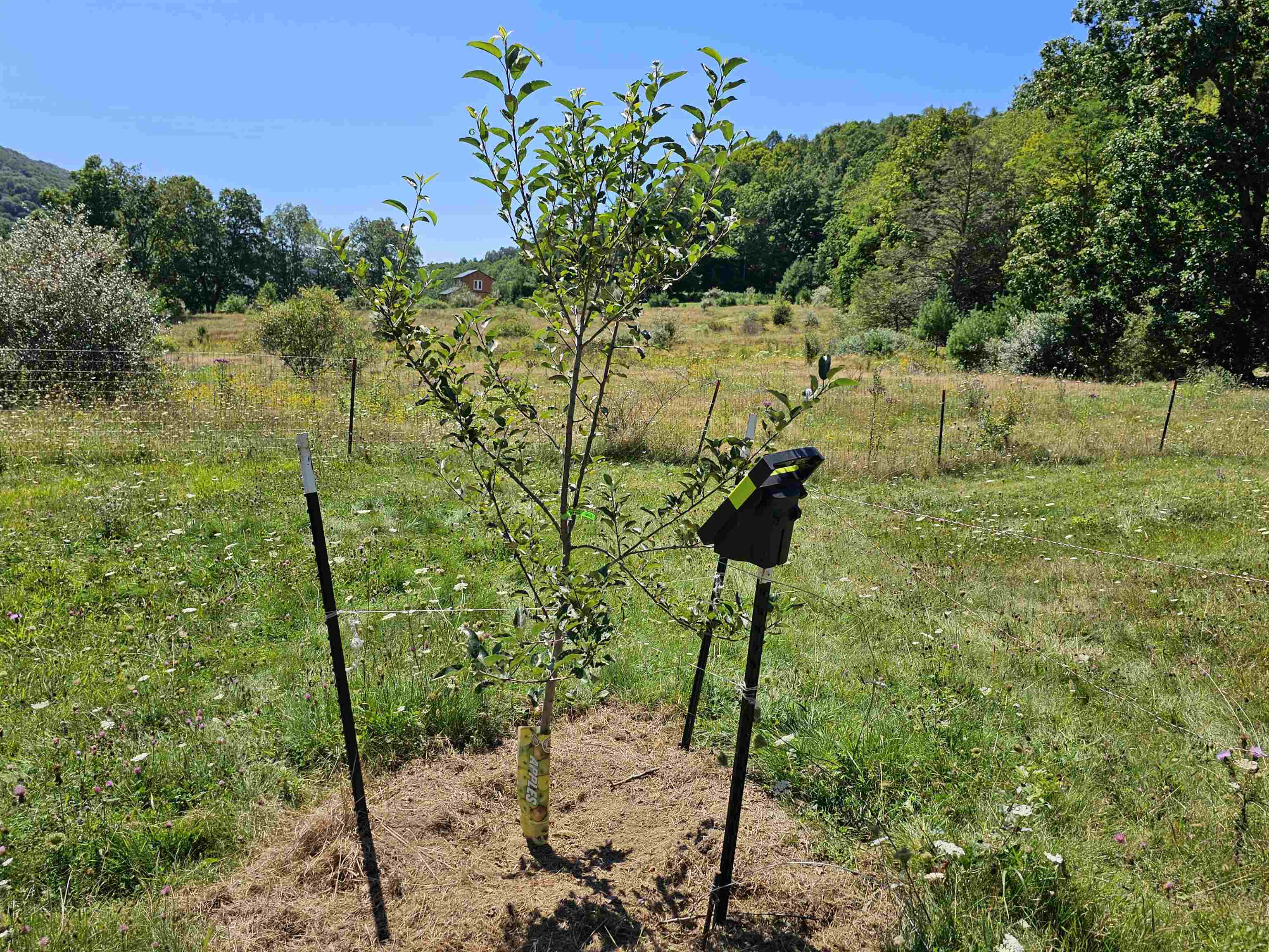 3328 Upper Back Creek Road Monterey, VA 24465 - Photo 23 of 33 Gallery Image 23
