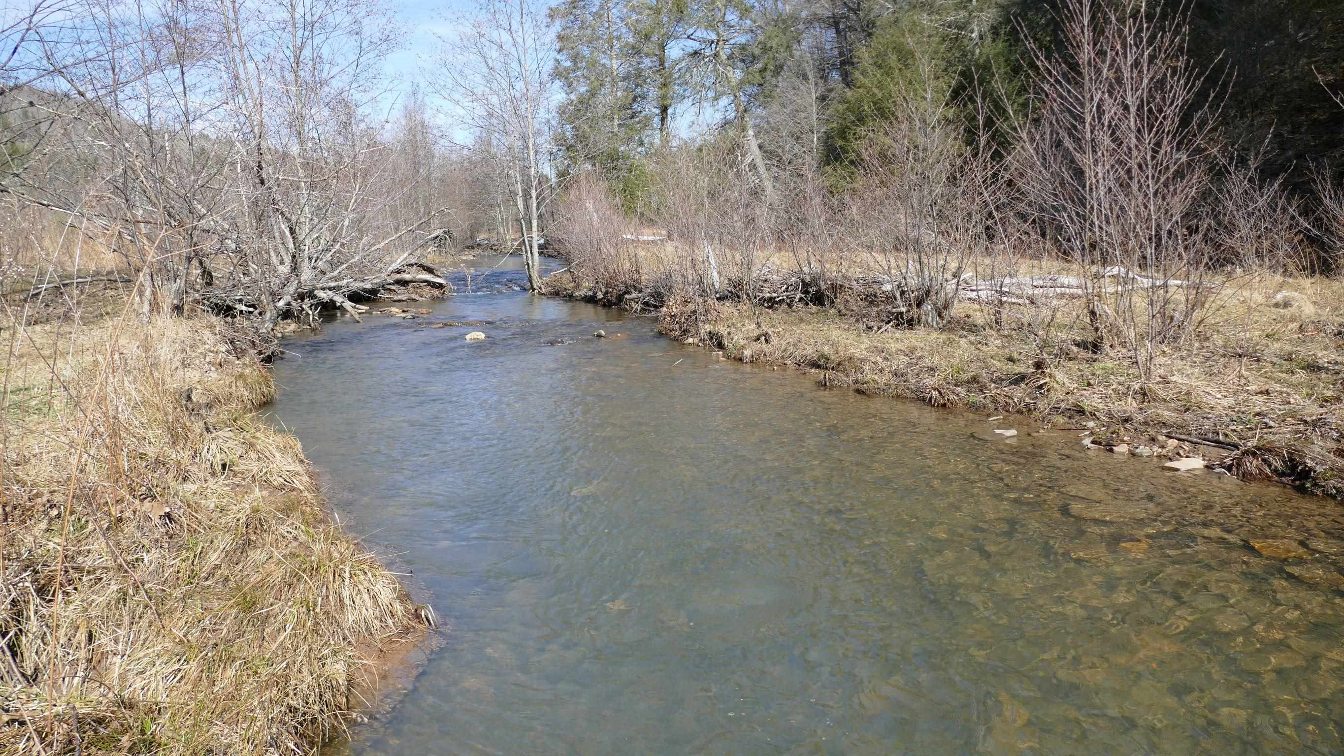 3328 Upper Back Creek Road Monterey, VA 24465 - Photo 31 of 33 Gallery Image 31