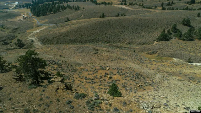 $197,500 | Pm5-9-10 Baby Dog Road, Natrona, WY 82646