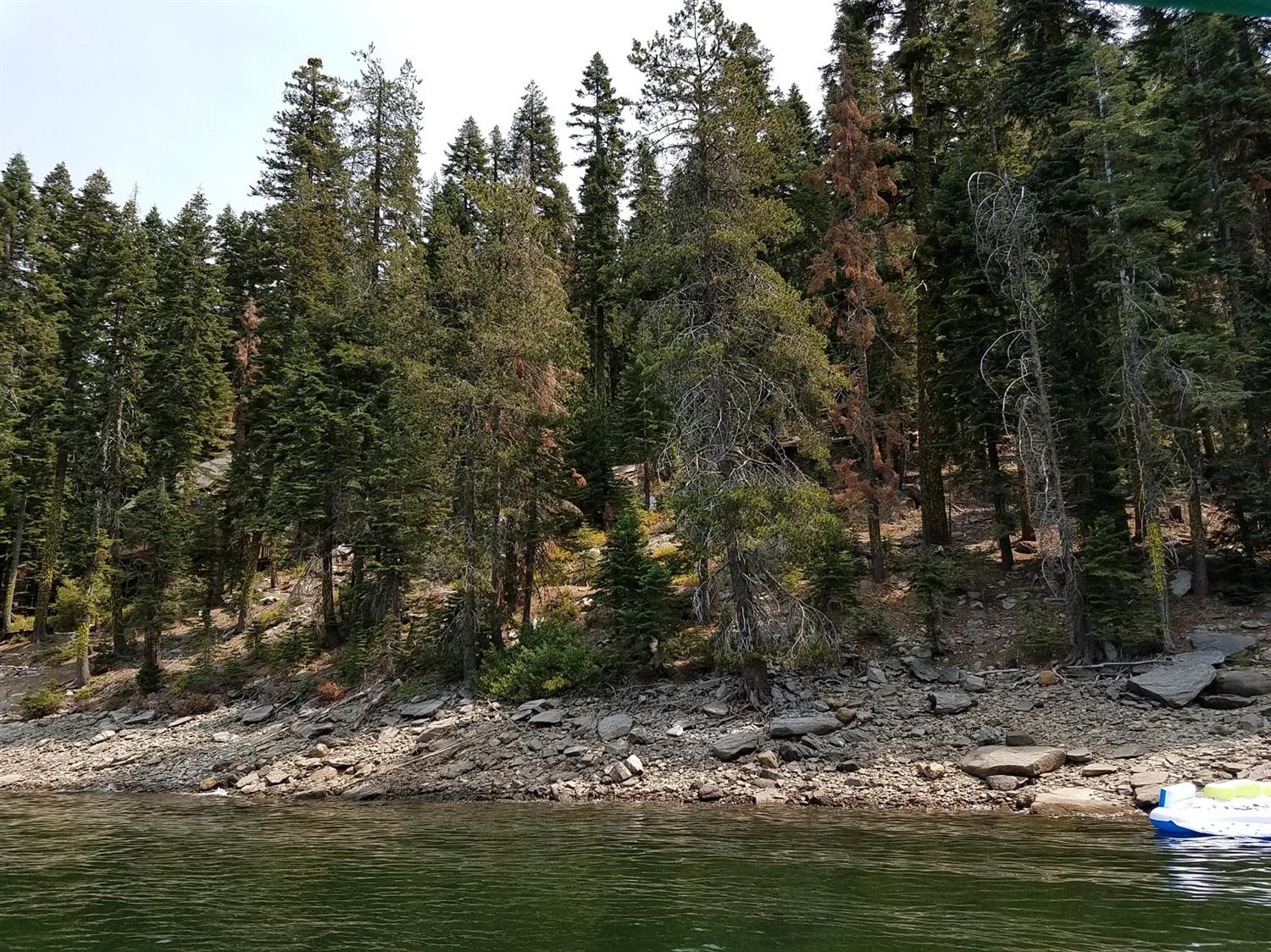 822 Mile High Road Bucks Lake, CA 95971 - Photo 7 of 8