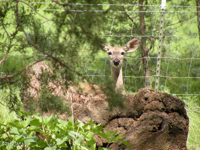 7 Umpire Ranch Road Elgin, AZ 85611 - Photo 25 of 31