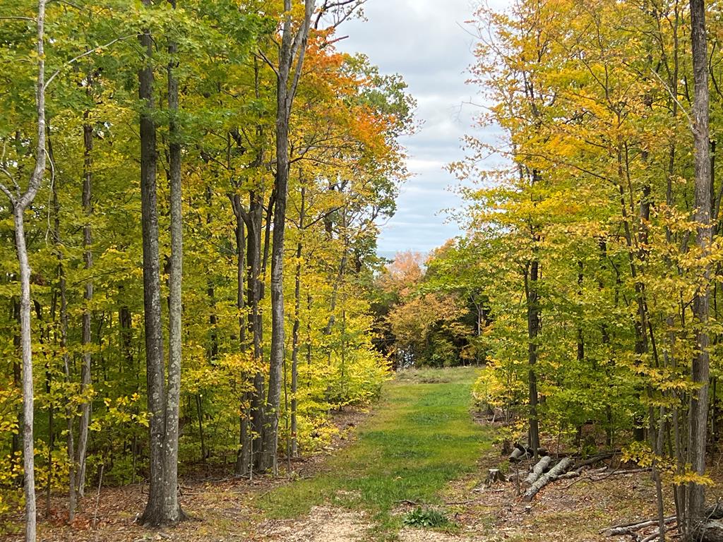 1817 Airport Road Washington Island, WI 54246 - Photo 23 of 32