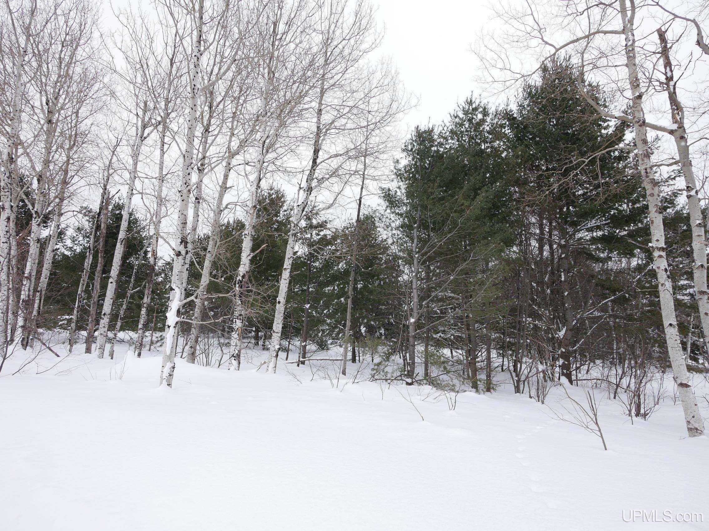 Parcel E Puuri Road Atlantic Mine, MI 49905 - Photo 18 of 19 Gallery Image 18