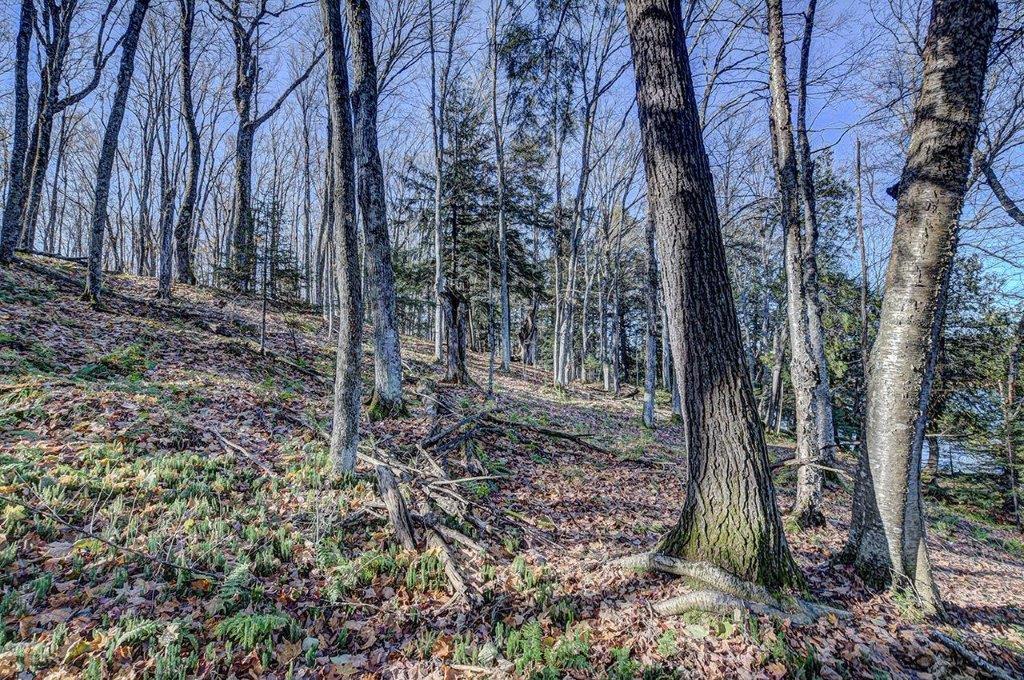 Lot # Timber Wolf Road Presque Isle, WI 54557 - Photo 9 of 16 Gallery Image 9