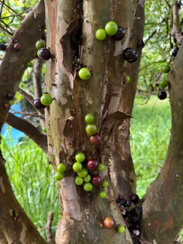 a view of a lake with houses