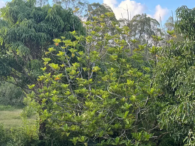 $2,490,000 | 28-646 Kaupakuea Homestead Road, Pepeekeo, HI 96783