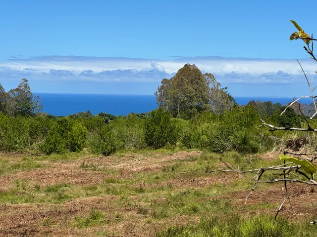 $2,490,000 | 28-646 Kaupakuea Homestead Road, Pepeekeo, HI 96783