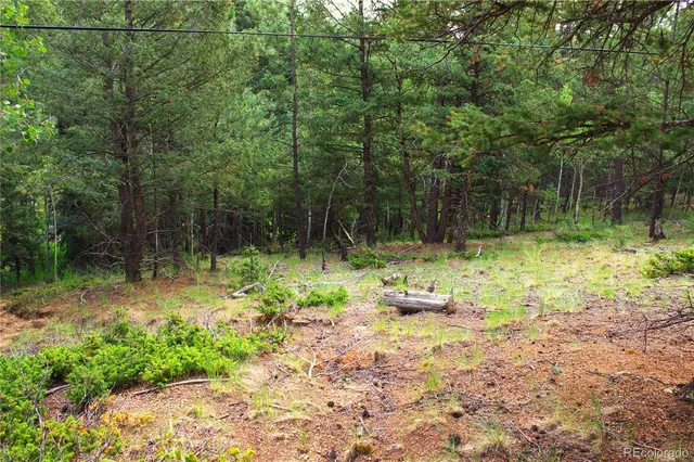 $40,000 | 123 Ellis Lake Circle, Divide, CO 80814