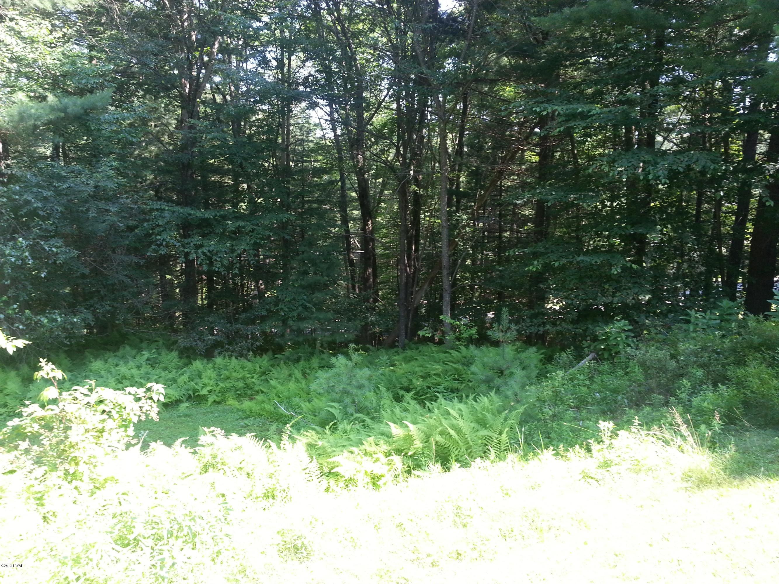 198 Greeley Lake Road Greeley, PA 18425 - Photo 2 of 28