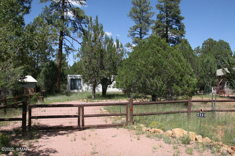 2130 Blue Jay Road Overgaard, AZ 85933 - Photo 2 of 31