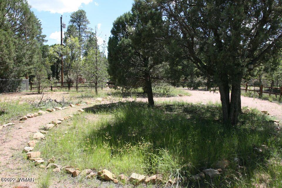 2130 Blue Jay Road Overgaard, AZ 85933 - Photo 27 of 31