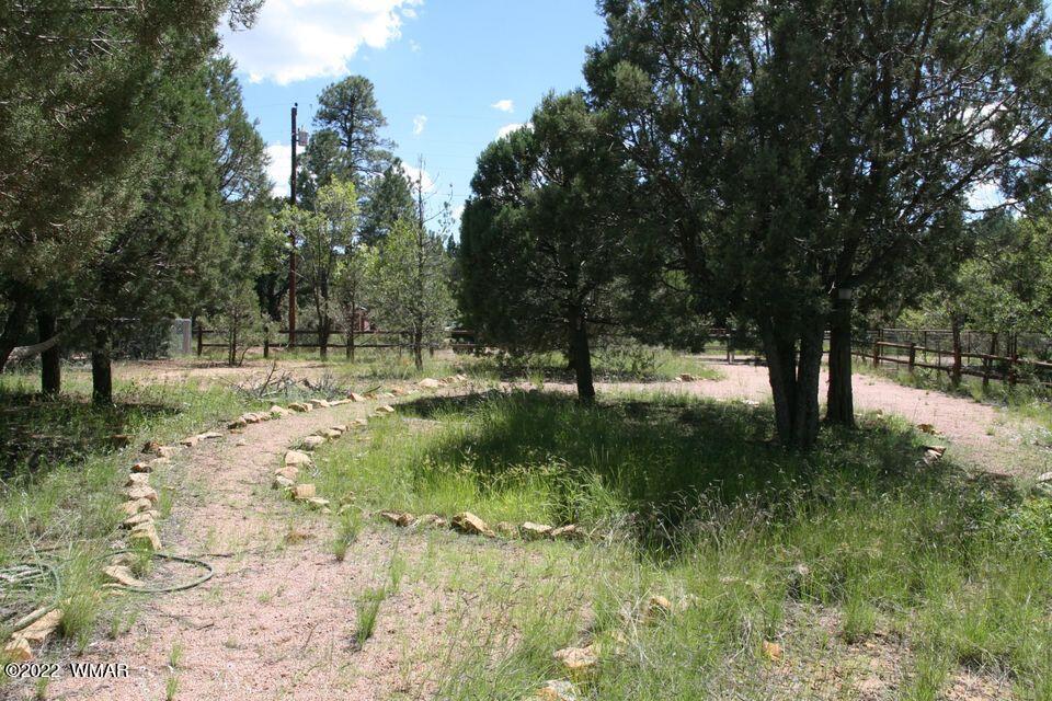 2130 Blue Jay Road Overgaard, AZ 85933 - Photo 28 of 31