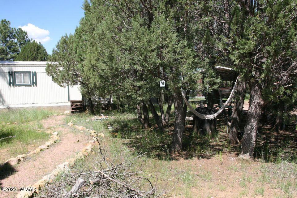 2130 Blue Jay Road Overgaard, AZ 85933 - Photo 29 of 31