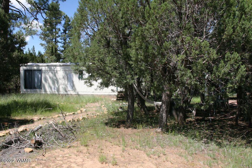 2130 Blue Jay Road Overgaard, AZ 85933 - Photo 30 of 31