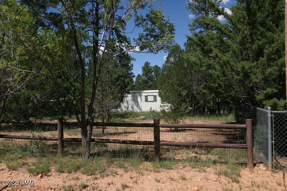 2130 Blue Jay Road Overgaard, AZ 85933 - Photo 3 of 31
