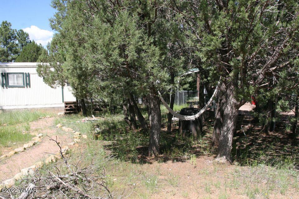 2130 Blue Jay Road Overgaard, AZ 85933 - Photo 31 of 31