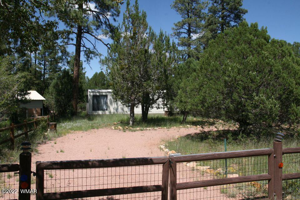 2130 Blue Jay Road Overgaard, AZ 85933 - Photo 4 of 31