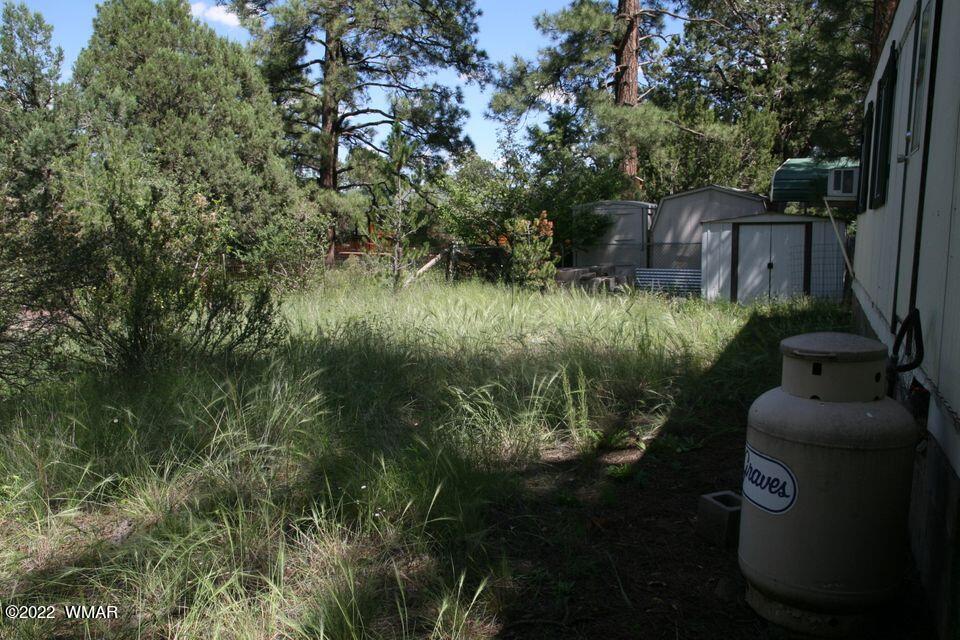 2130 Blue Jay Road Overgaard, AZ 85933 - Photo 8 of 31