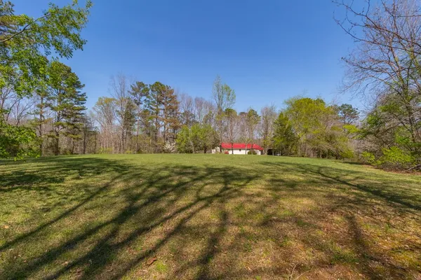 a view of a swimming pool with plants and trees