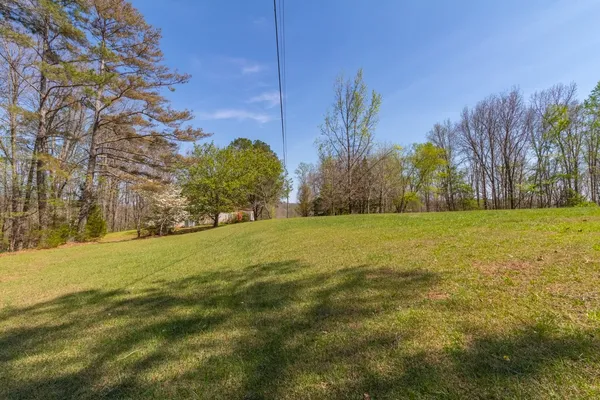 a view of a yard with plants