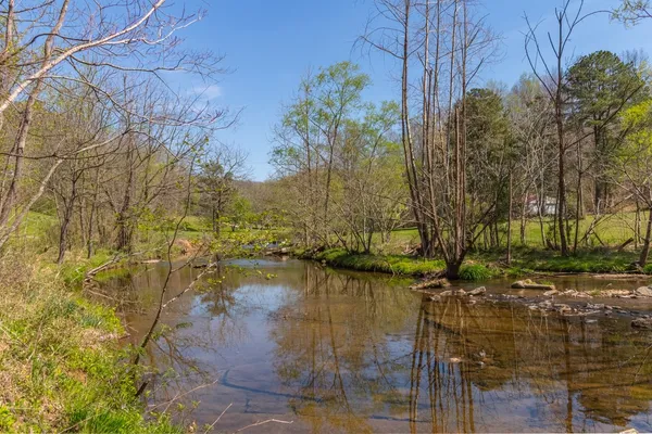 a view of a lake with large trees