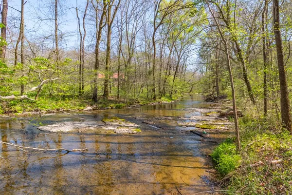 a view of a yard with plants