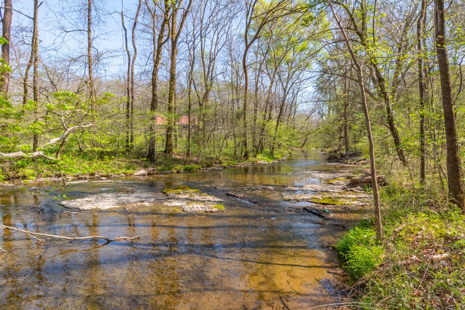 348 Spring Creek Road Westpoint, TN 38486 - Photo 46 of 84 Gallery Image 46