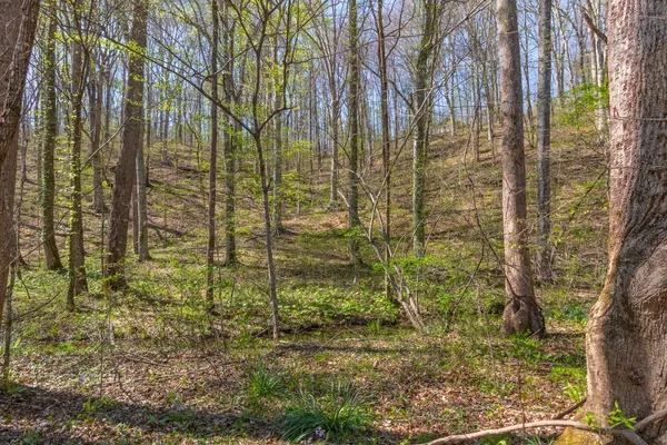 $300,000 | 348 Spring Creek Road, Westpoint, TN 38486