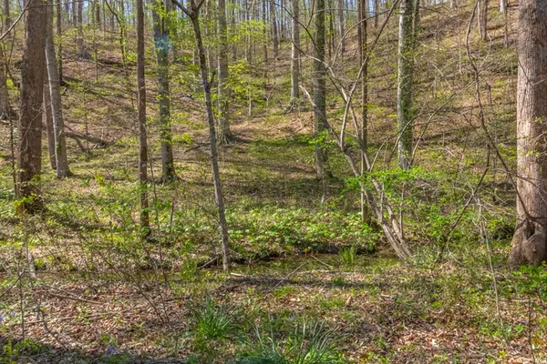 $300,000 | 348 Spring Creek Road, Westpoint, TN 38486